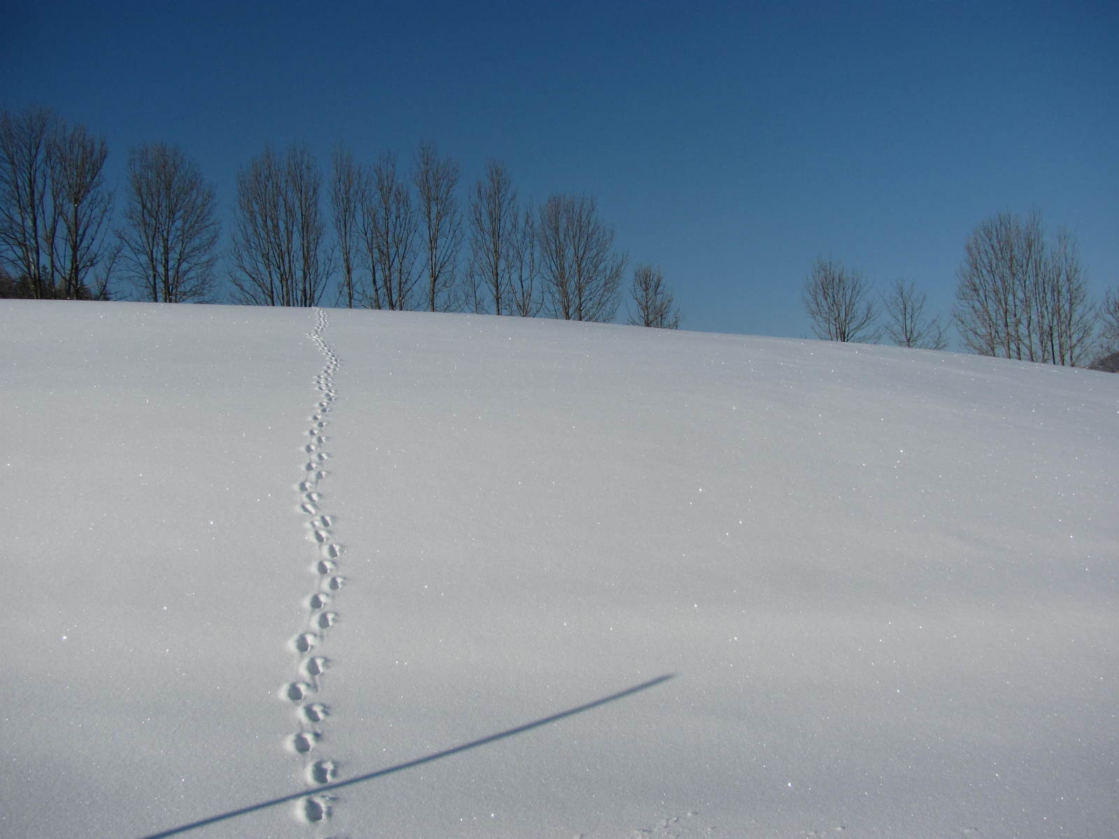 Hochkar 2013.03.28-30