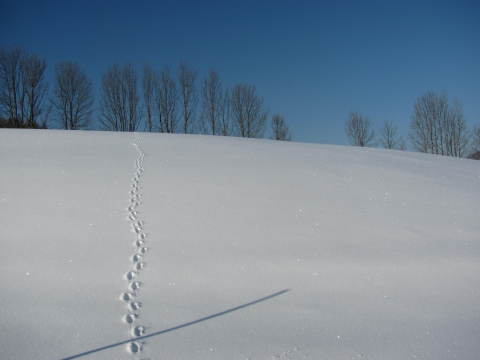 Hochkar 2013.03.28-30