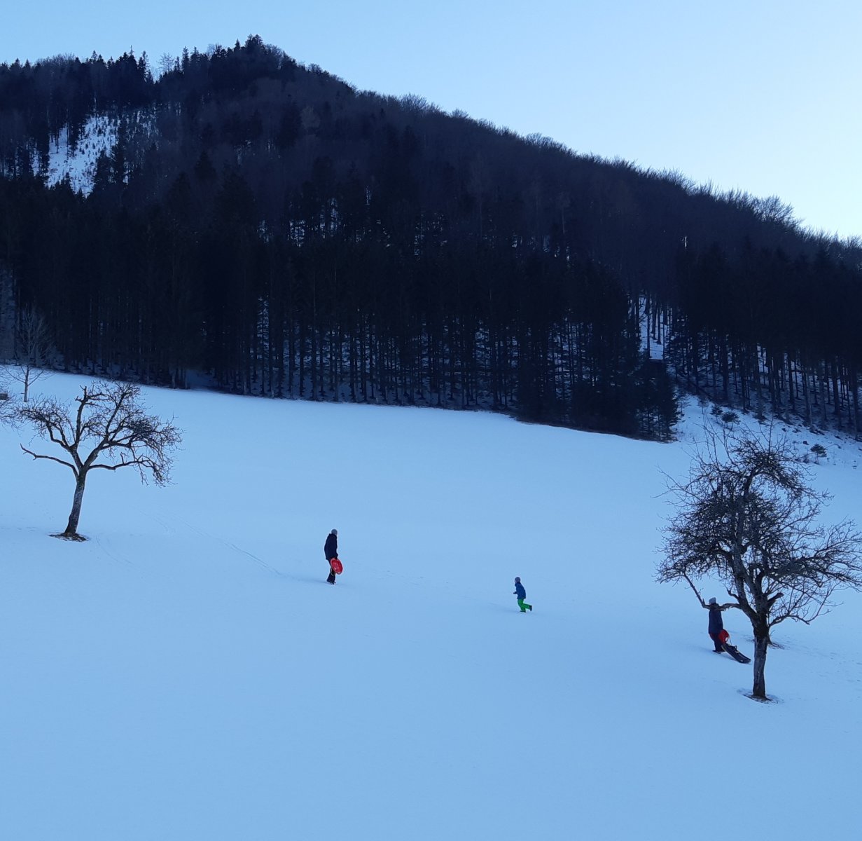 20190205-173626.jpg