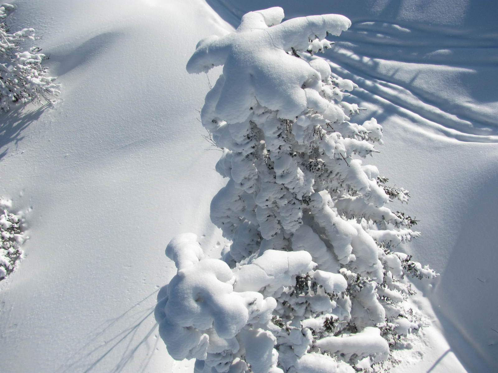 Hochkar 2013, Látod a nyuszit, ahogy rád mutat?