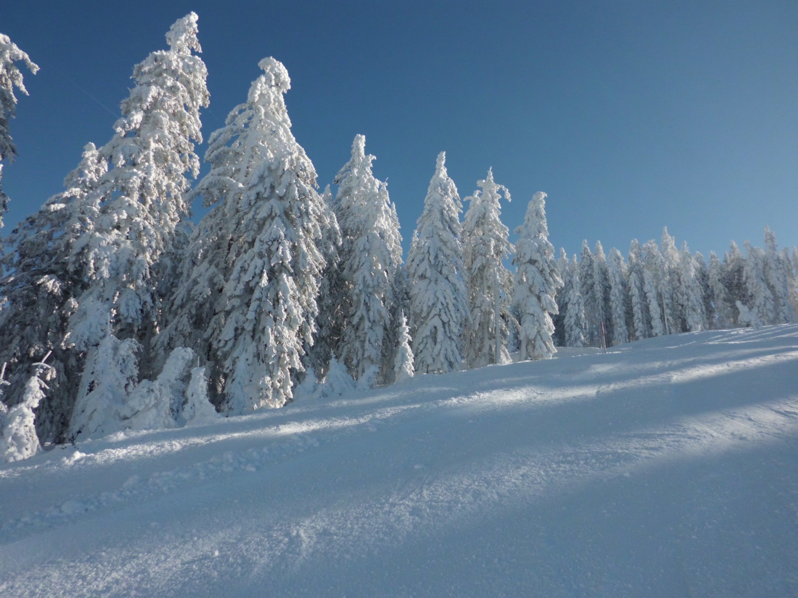 Napsütés,és -10 fok.