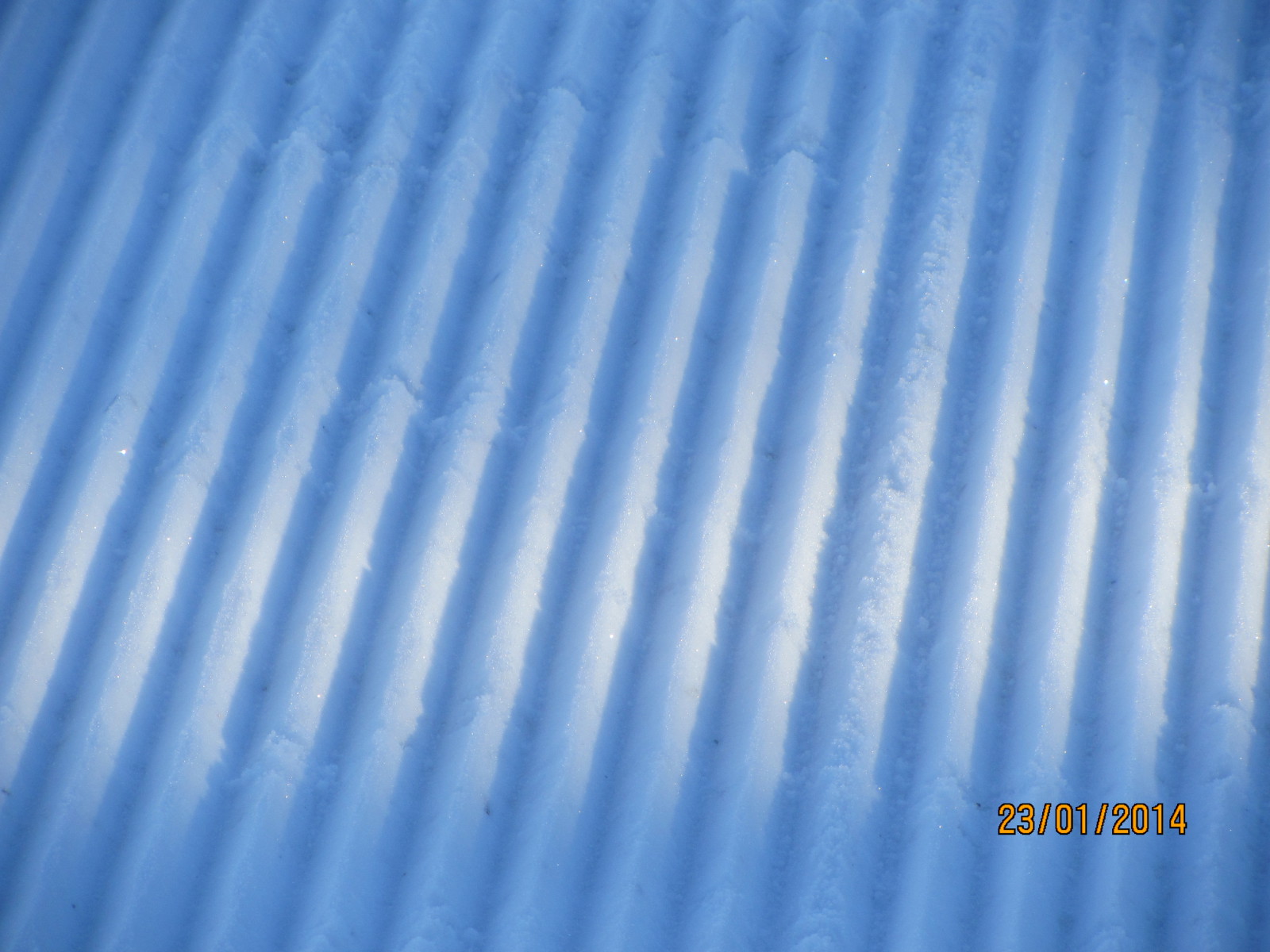 IMG-2764.JPG