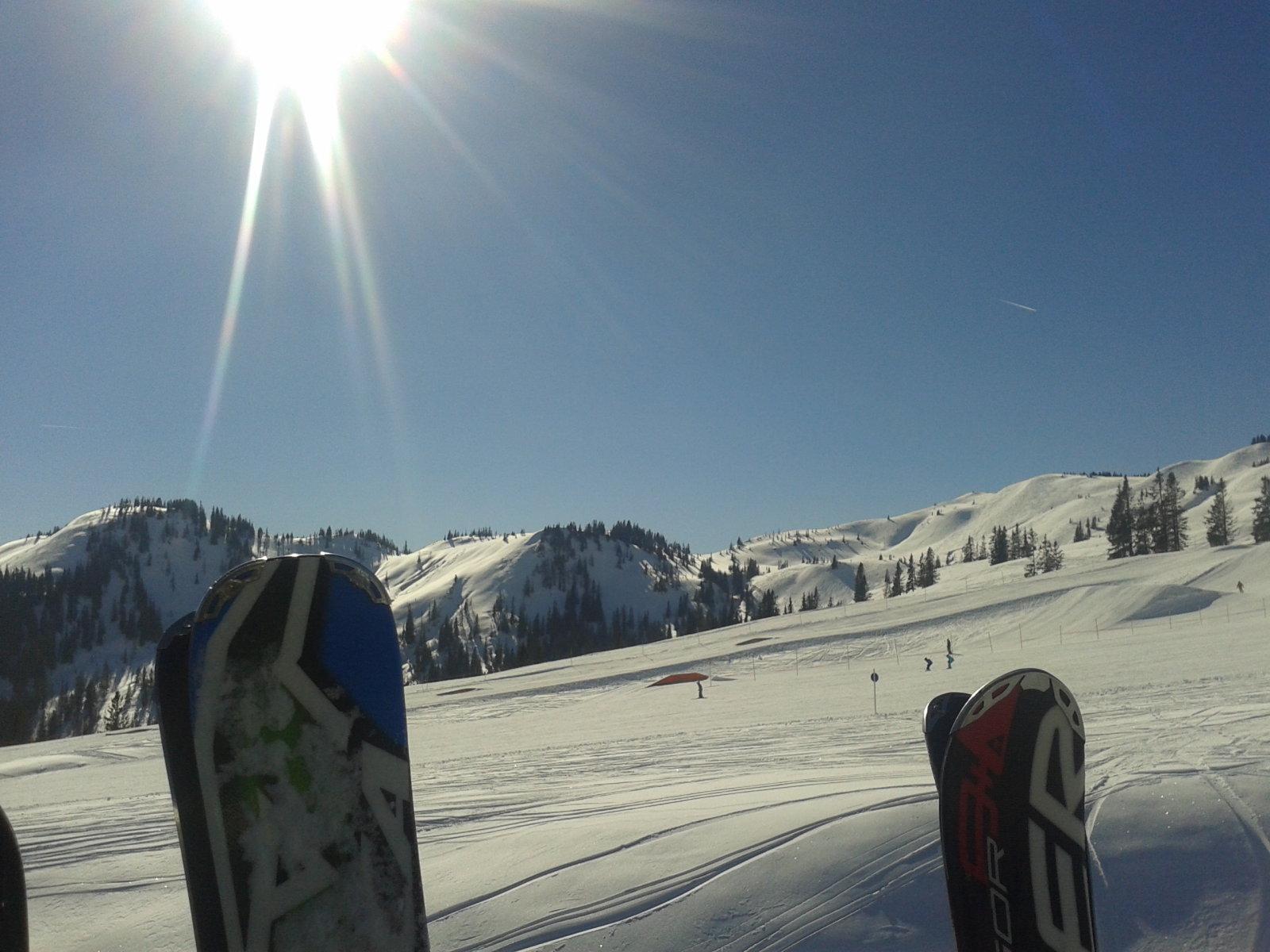 20150218-113459.jpg
