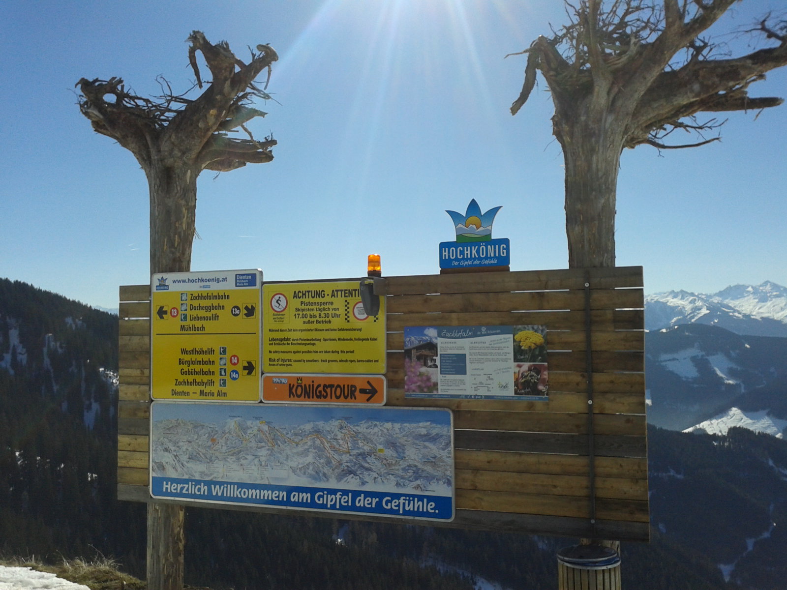 Amikor már a fák is fordítva nőnek