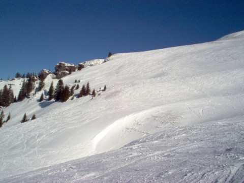 freeride2.jpg
