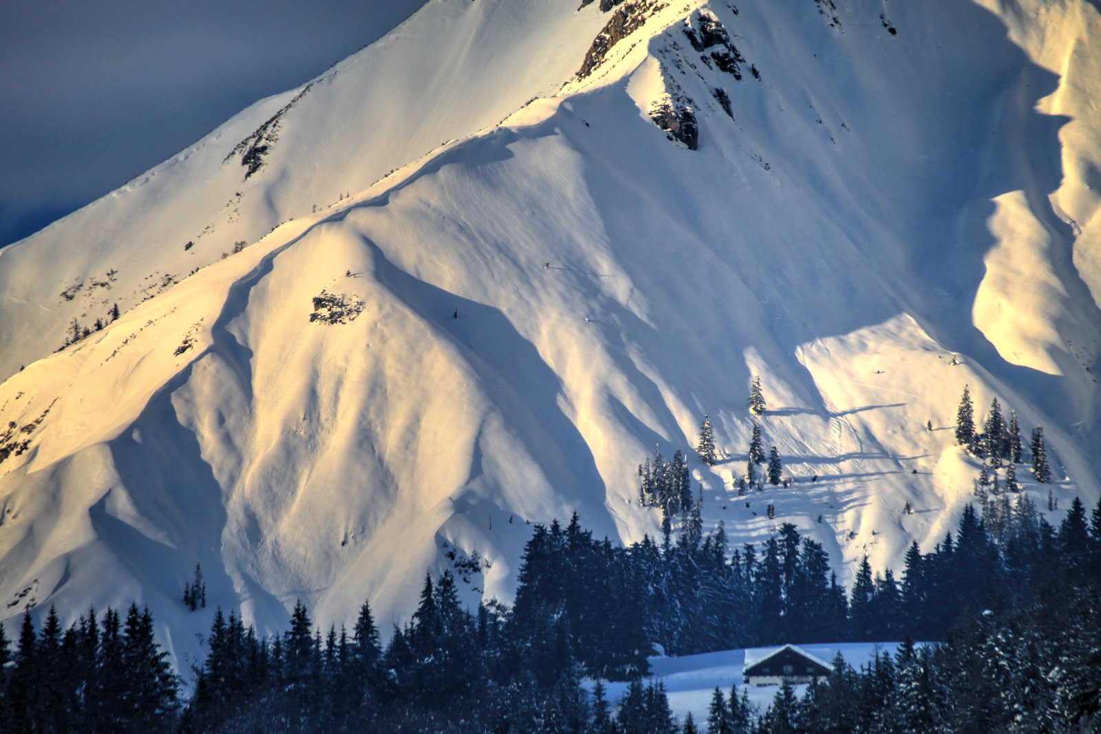 hochk20190127-10.jpg