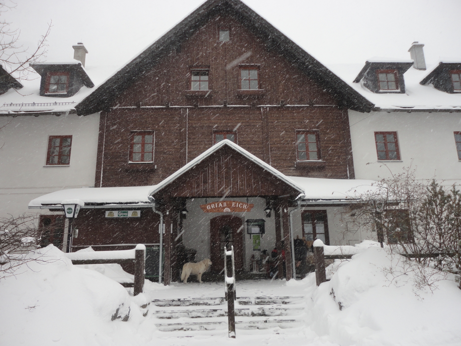 Bodenbauer panzió - sítúrázók kedvenc kiindulópontja a Hochschwab-hegységben (télen csak hétvégeken nyit ki).