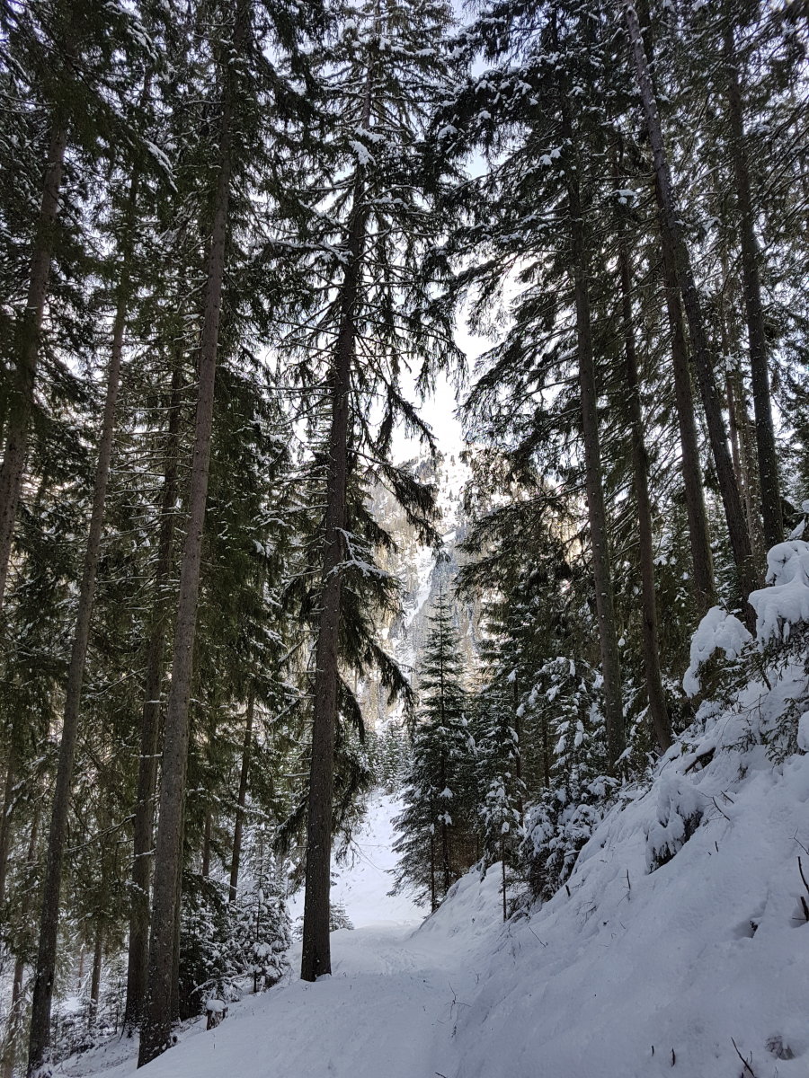 Ilyen utakon lehet felmenni