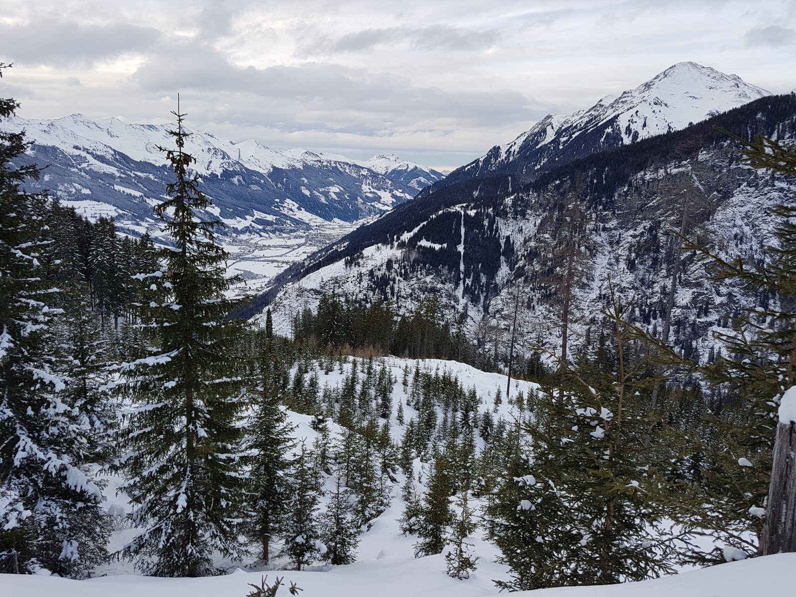 A kis tisztás felülről.