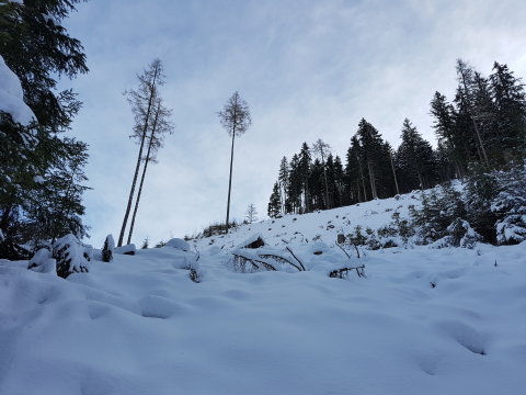 Itt jó lenne lejönni