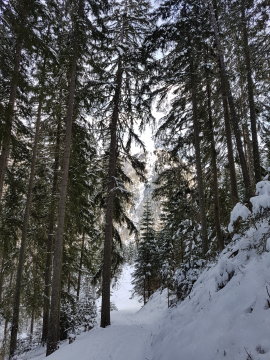 Ilyen utakon lehet felmenni