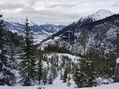 A kis tisztás felülről.