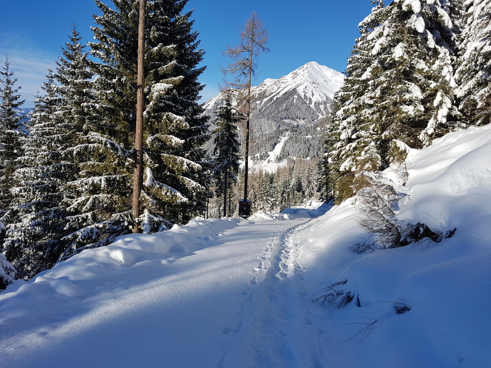 Erdészeti utakon mentünk fel a pályáig