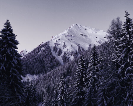 Gamskarkogel (12.03)