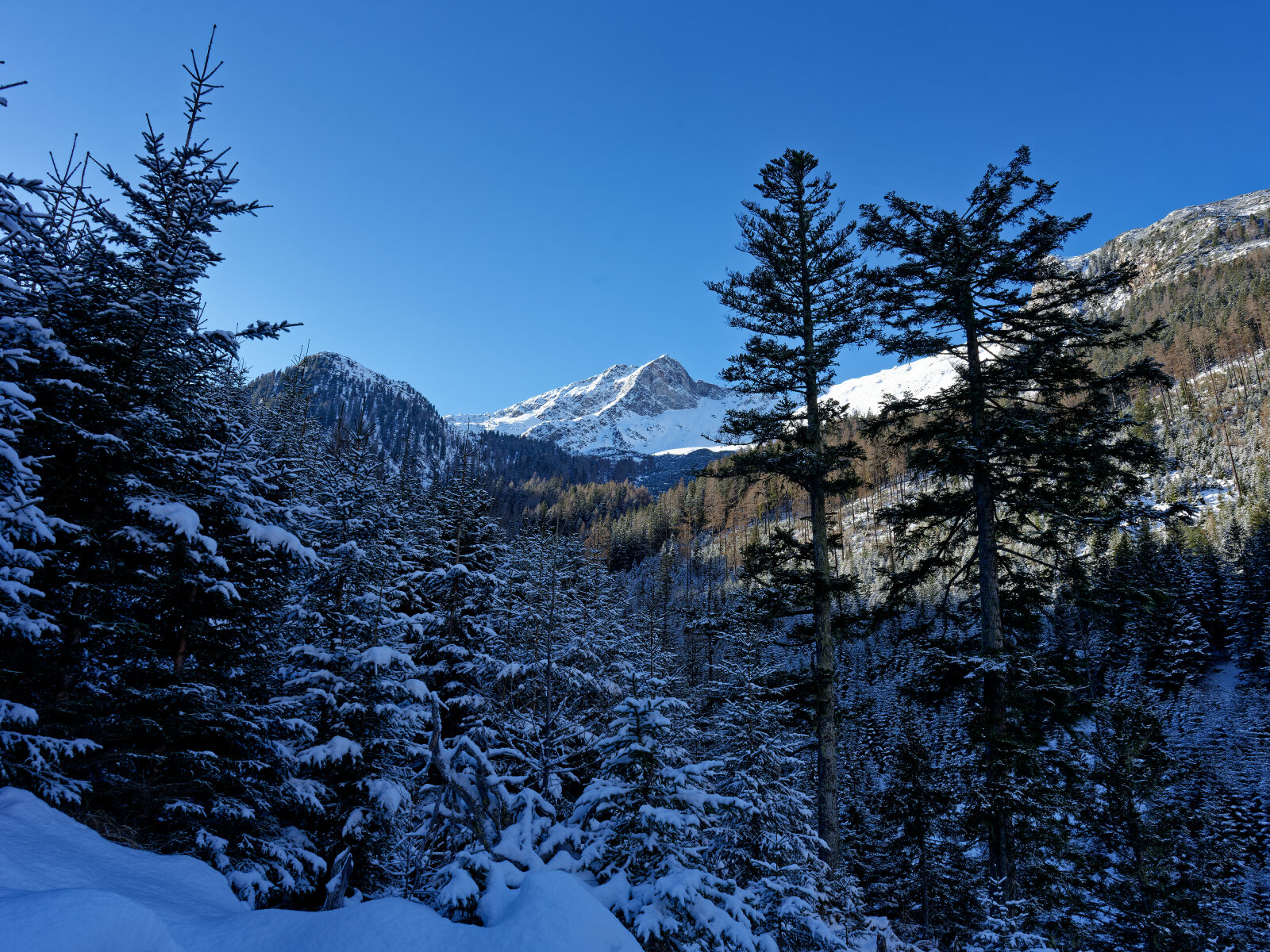 Graukogel keleti oldal