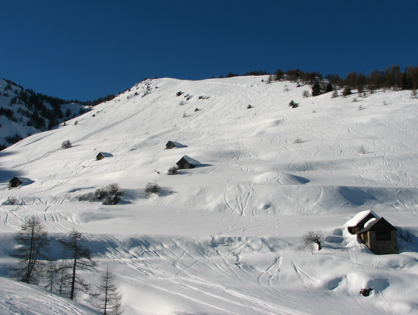si-2014-Isola-Auron-281.jpg