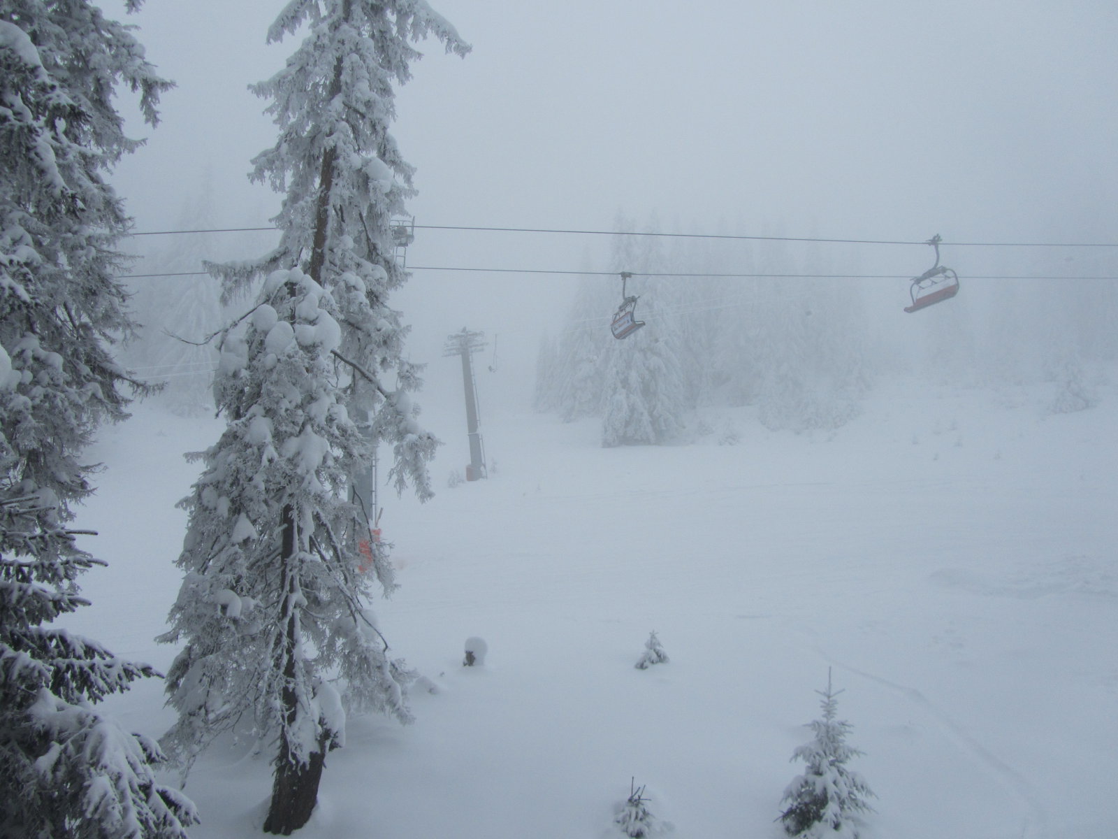 IMG-1018.JPG