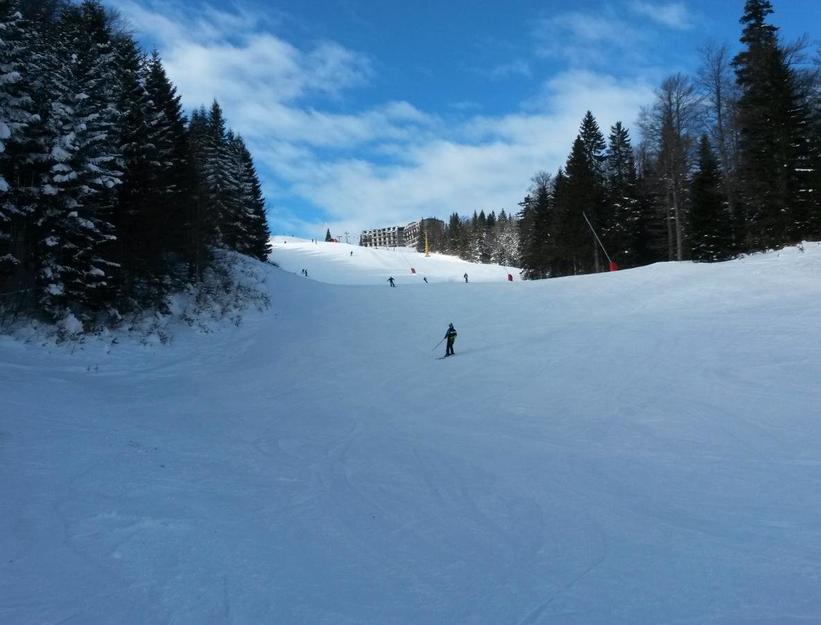image4.jpg