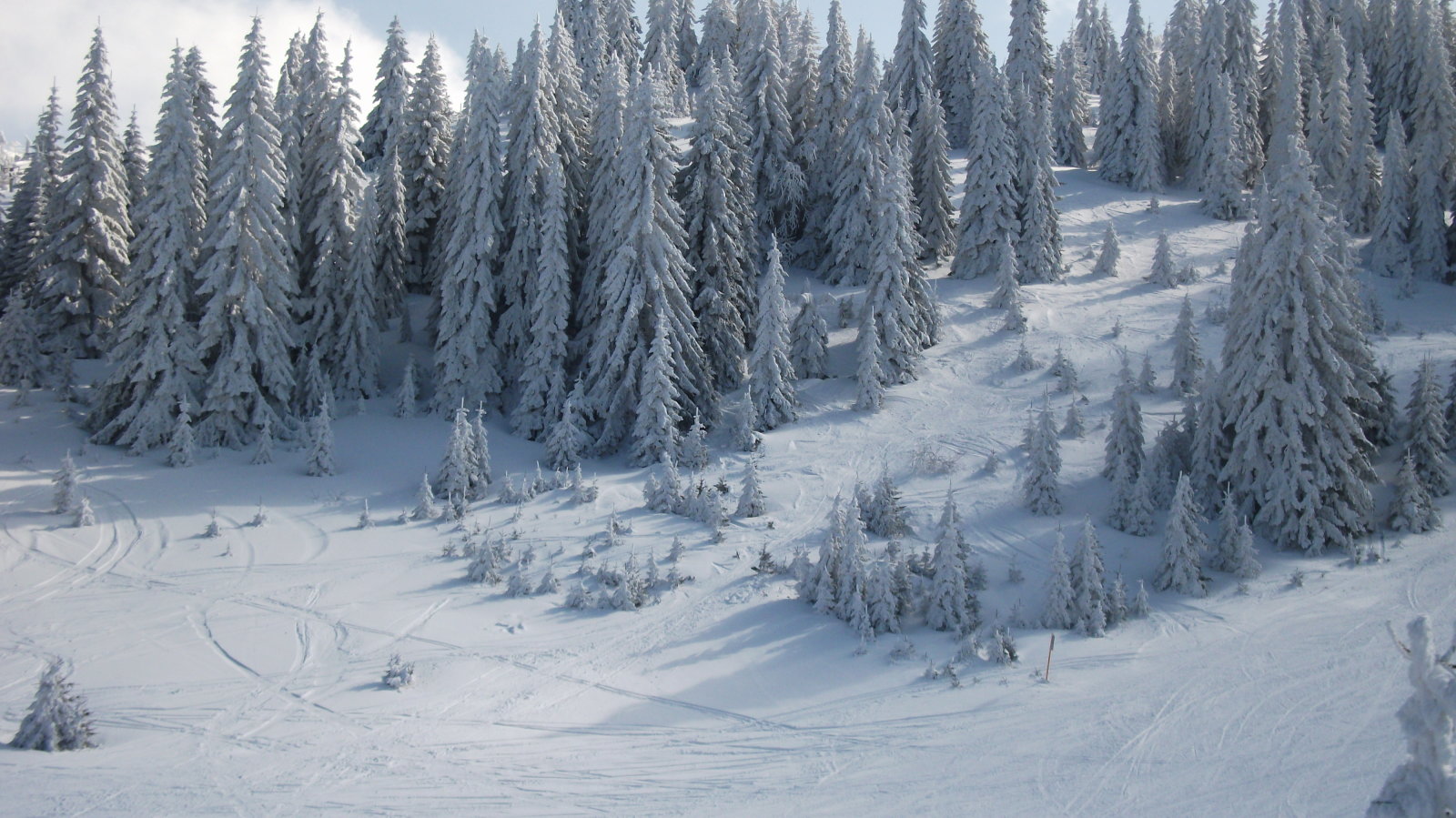 2017-03-12-Jahorina-092.JPG