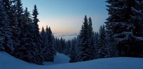 Jahorina 2