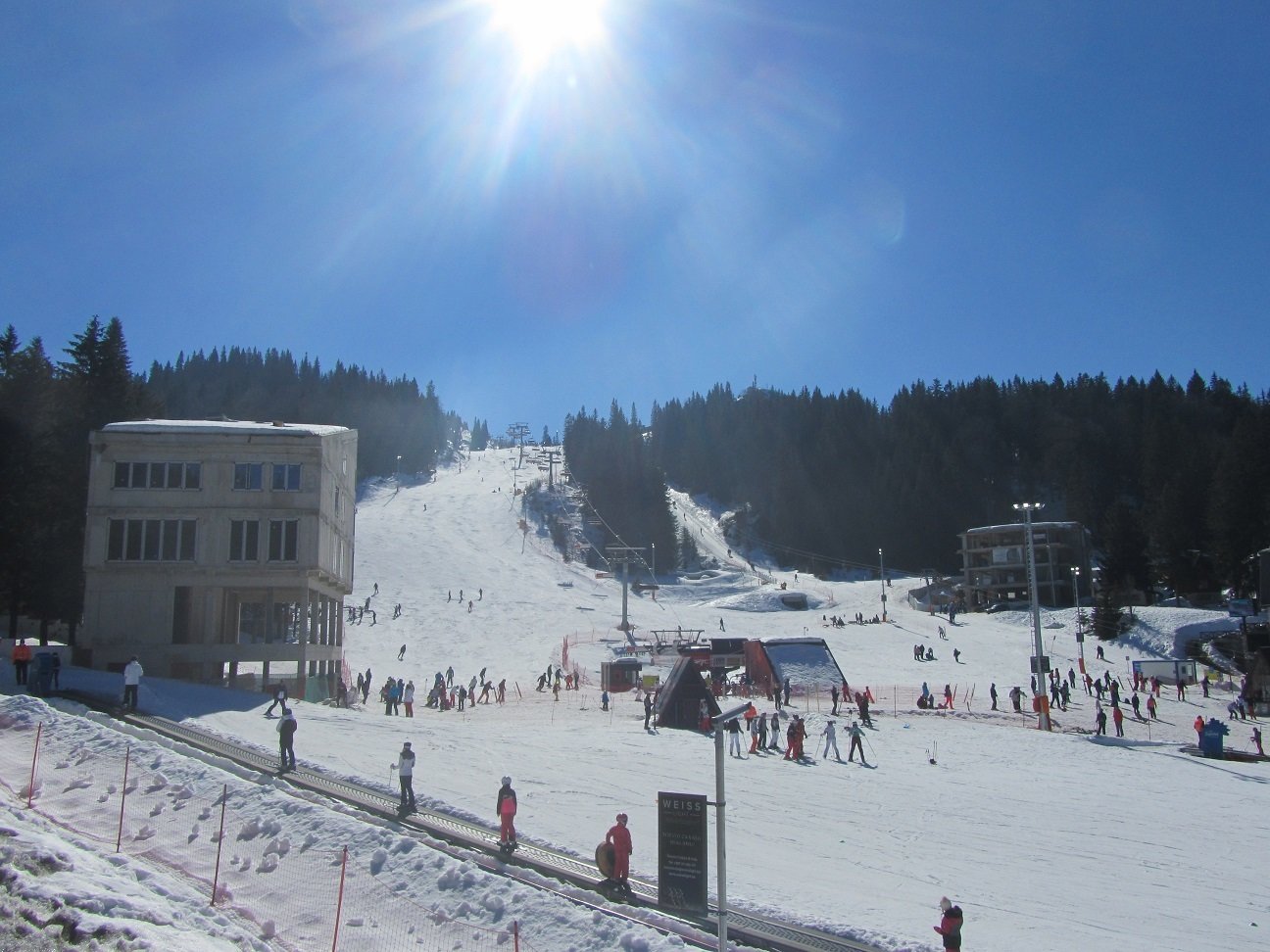 IMG-9372.JPG