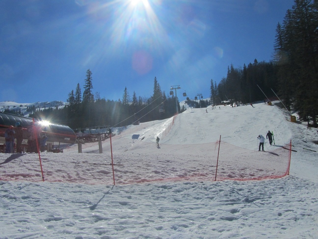 IMG-9375.JPG