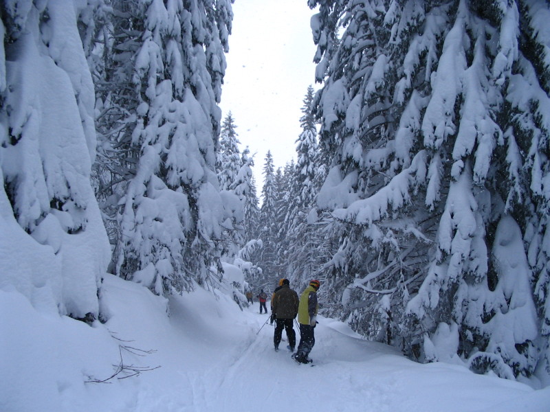 Mesebeli látványt nyújtott az erdei pálya - Kattints a képre a nagyításhoz