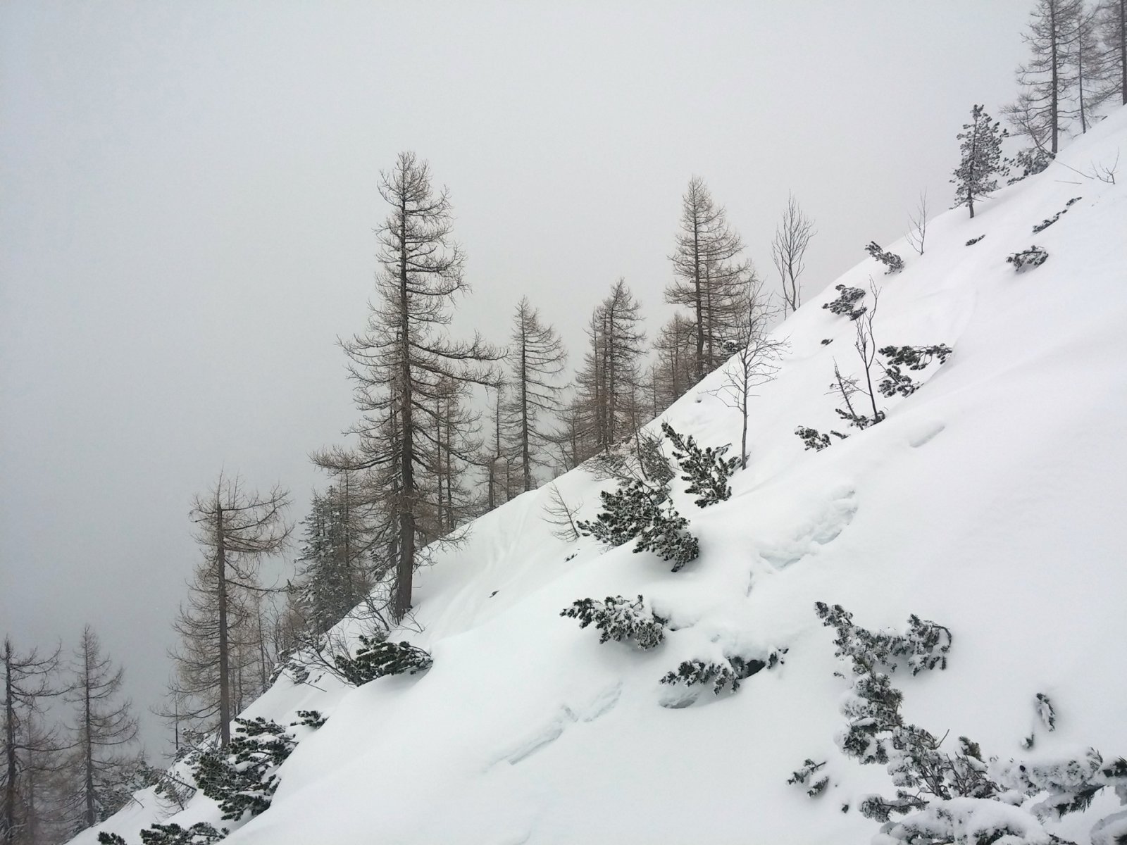 Itt is végig jó meredek a terep a tetejétől az aljáig.