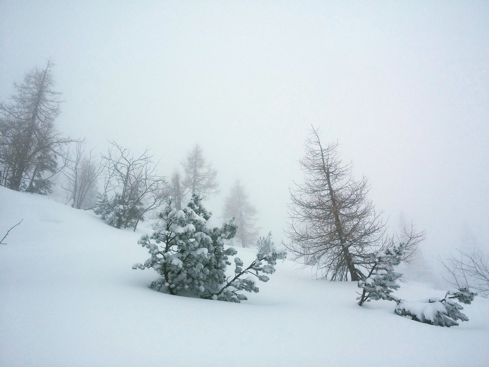 Kimentem oldalra és ezt találtam. 