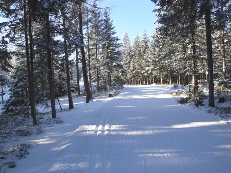 Az erdőben naponta fektetik a sífutópálya nyomvonalát. - Kattints a képre a nagyításhoz