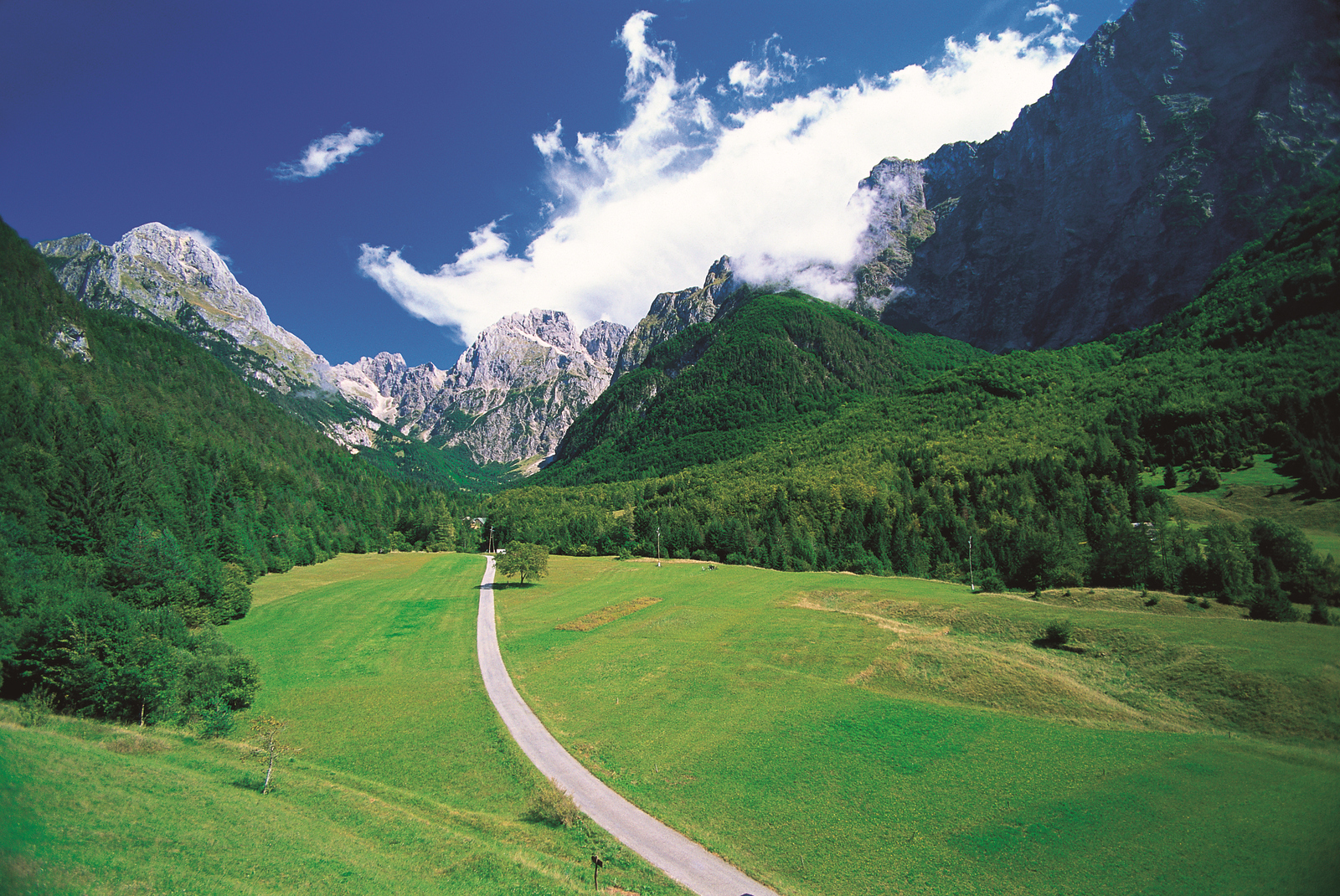 Koritnica hegyei | Fotó: B. Kladnik