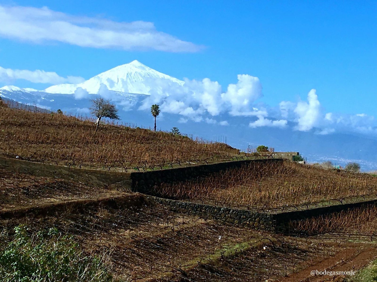 A Teide lentről (Páter, Bodegas Monje / Twitter)