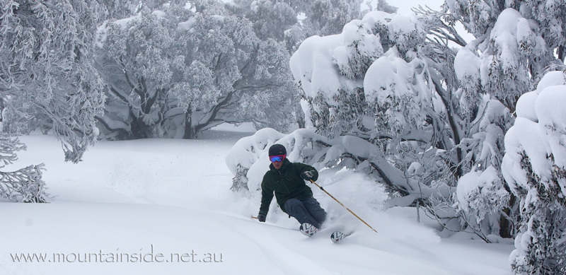 Síelő élvezi a friss porhavat az ausztrál Falls Creeken - Fotó: Mountainside - Kattints a képre a nagyításhoz