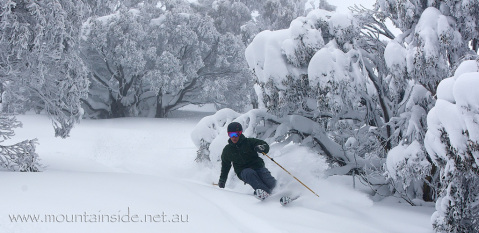Síelő élvezi a friss porhavat az ausztrál Falls Creeken - Fotó: Mountainside