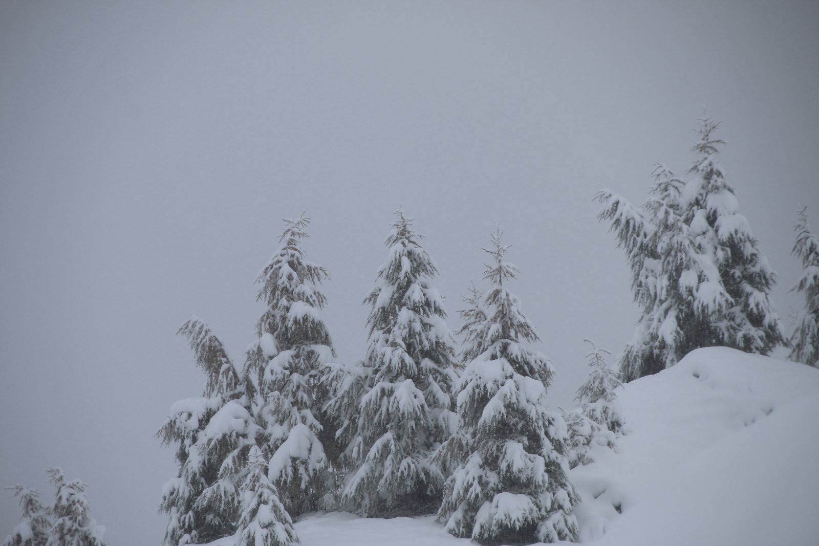 30-50 cm friss hó Kaprunban - Fotó: Stánicz Balázs