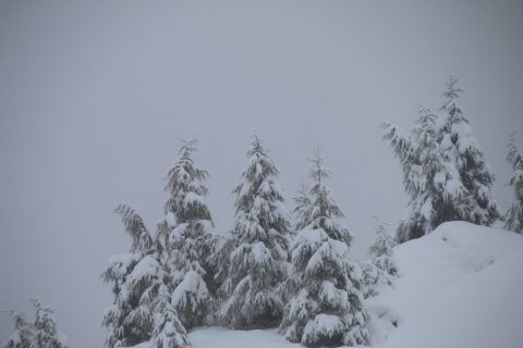 30-50 cm friss hó Kaprunban - Fotó: Stánicz Balázs