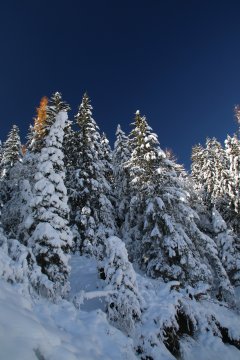Lesiklás a gleccserről Kaprunig Maiskogel érintésével - Fotó: Stánicz Balázs