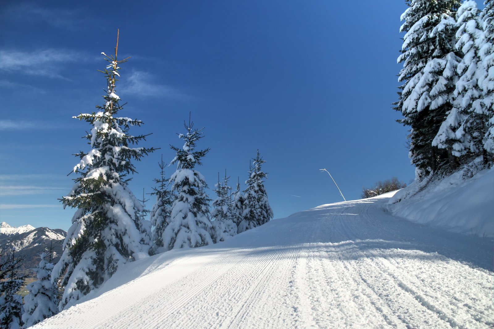 Az északias fekvésnek köszönhetőn örzik a fák a fehér ruhájukat