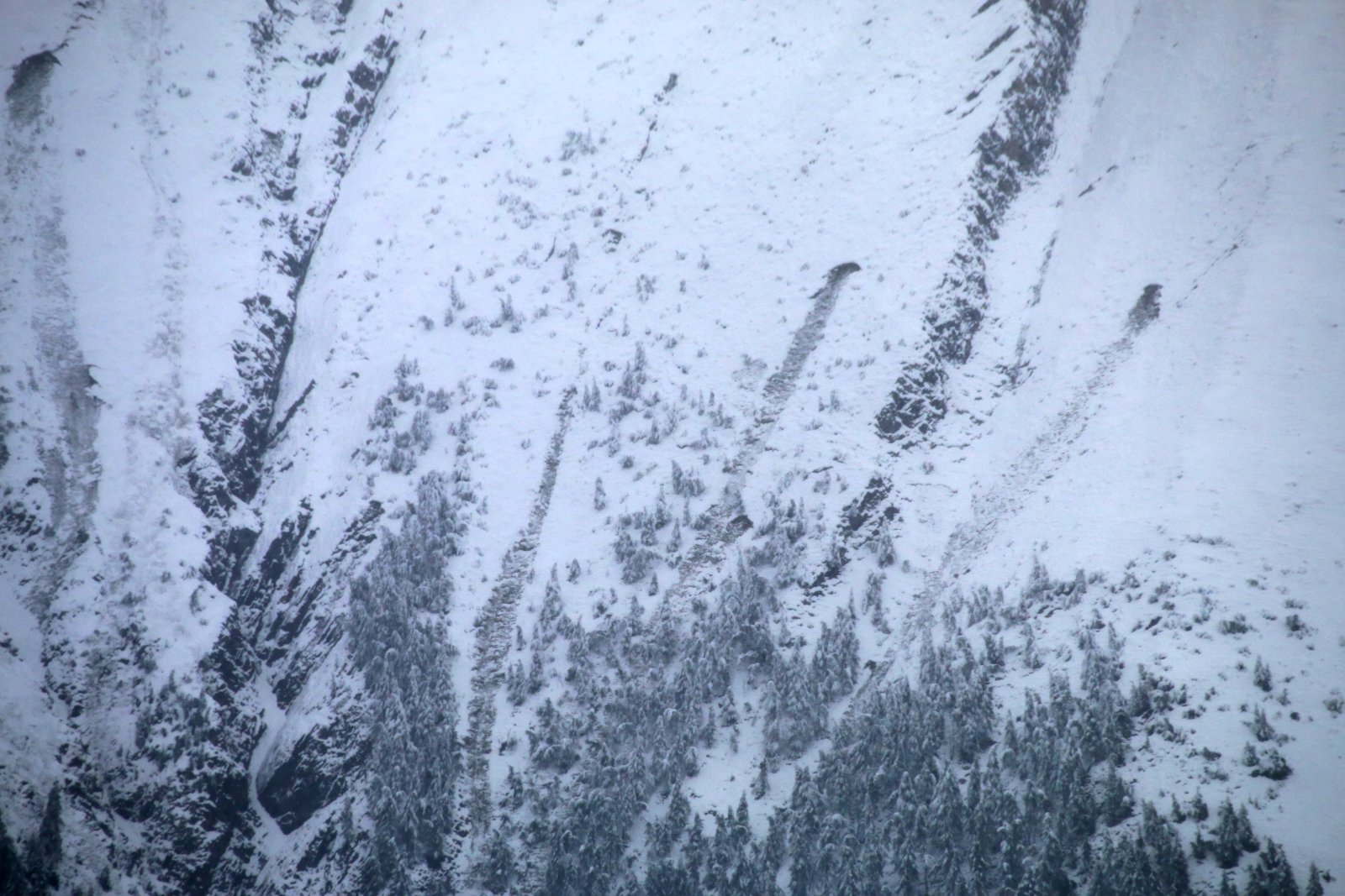 50 cm friss hó Kaprunban - Fotó: Stánicz Balázs (Stani)