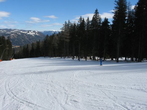 A1 erdei környezetben