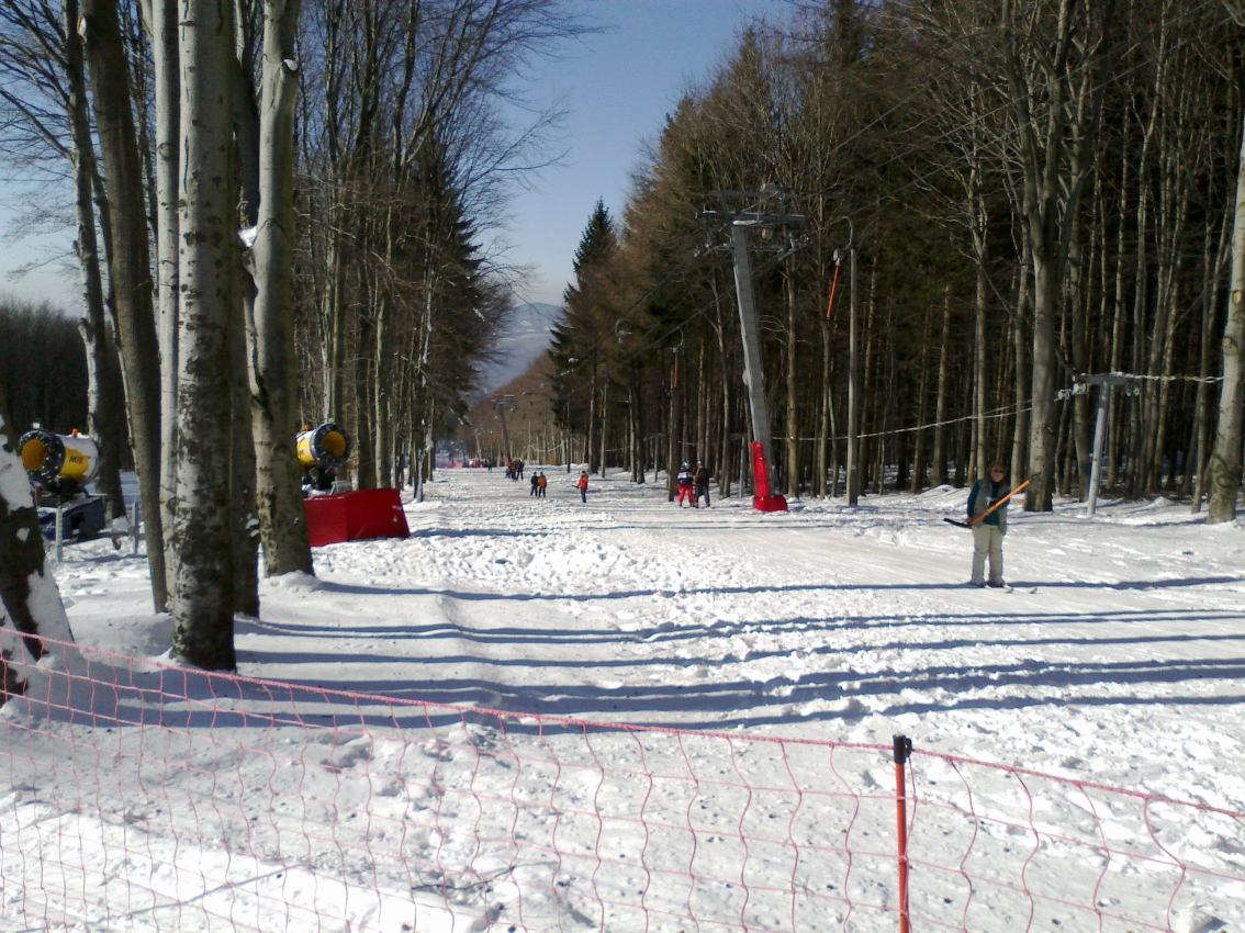 201402031943b.jpg