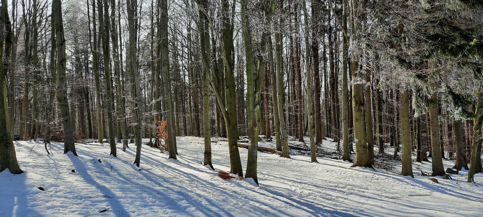 20210221-120533.jpg