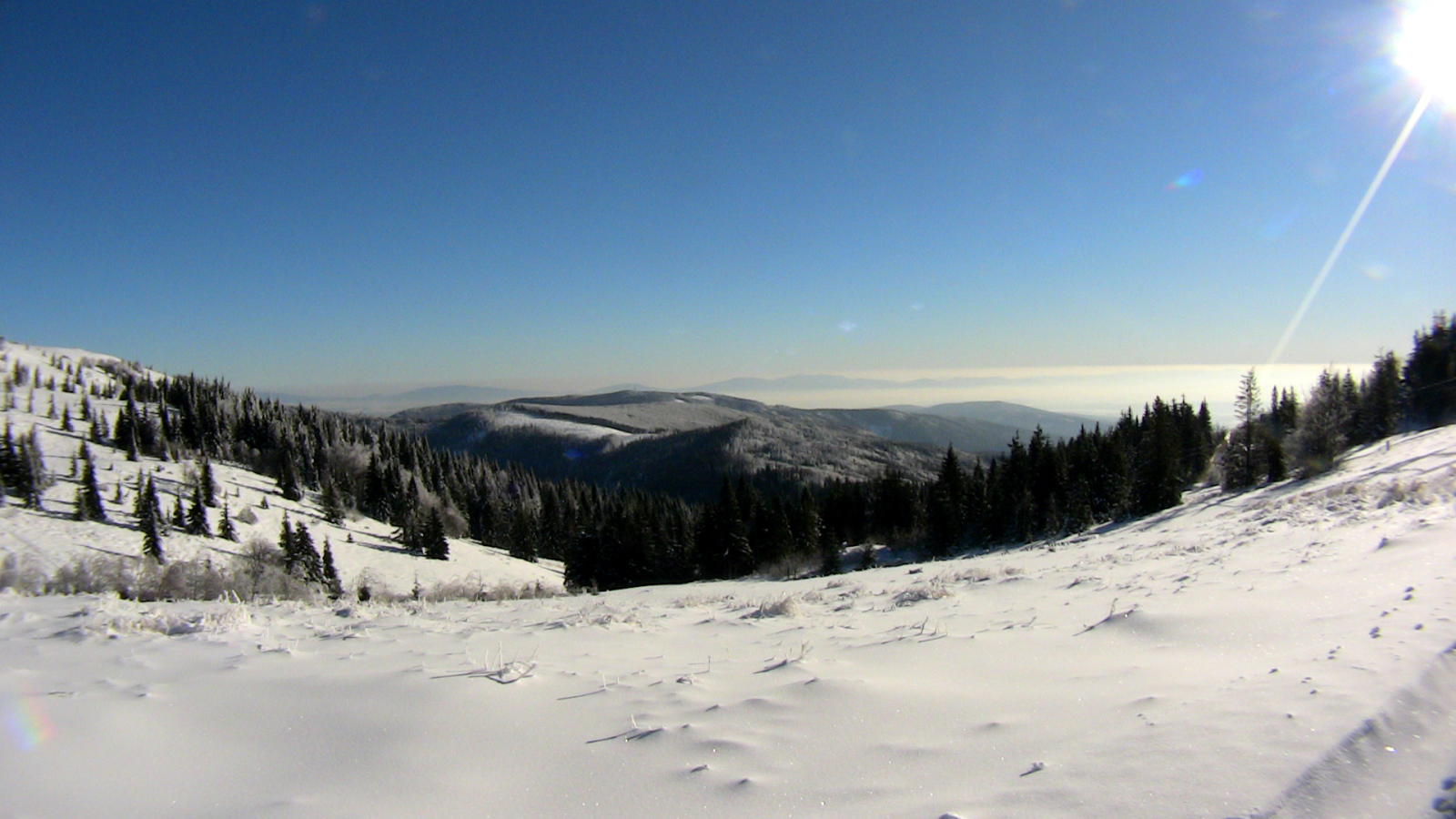 Kojsovska Hola / Aranyida - Skipark Erika