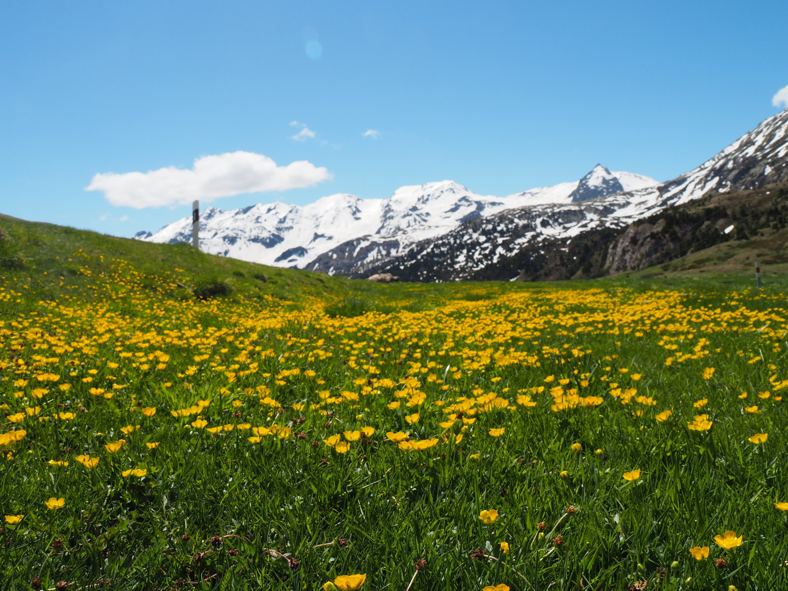 "Legmesszebbről rám merengve néztek. Ködön át a" ticinoi bércek