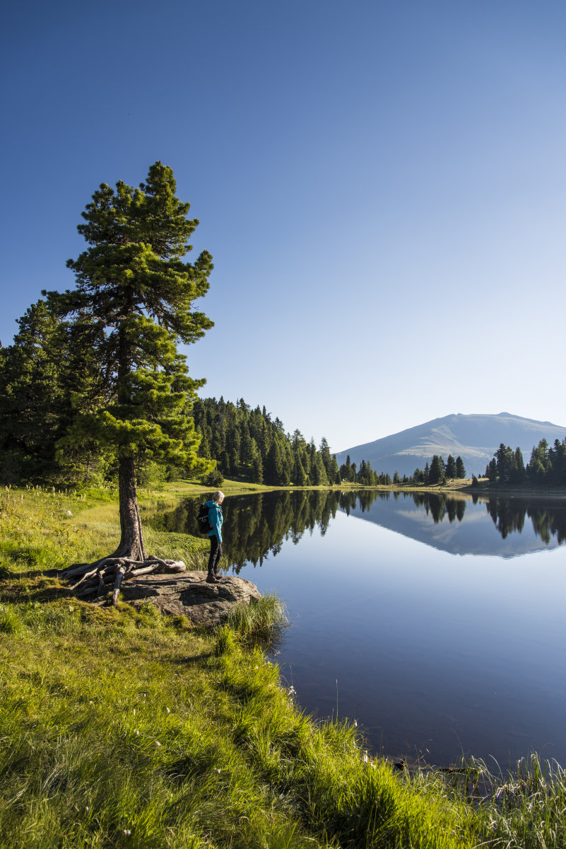 Copyright: Franzgerdl/Reg Nockberge