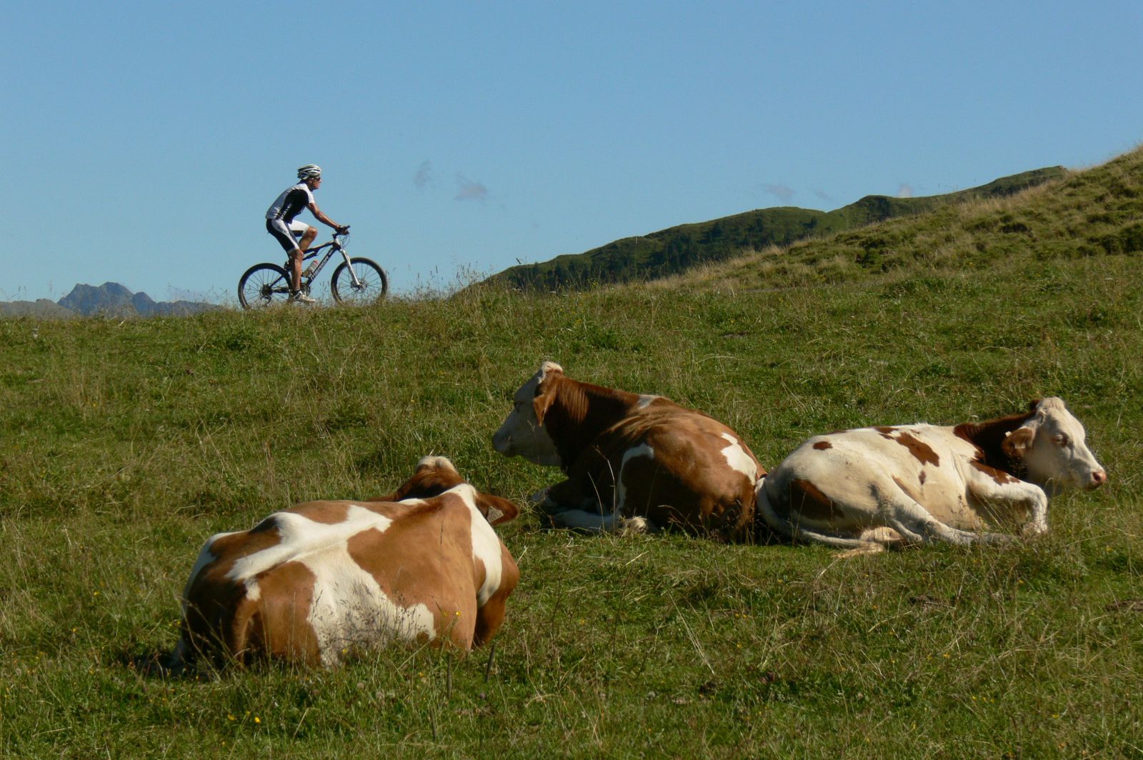 Augusztusi idill a sípályákon