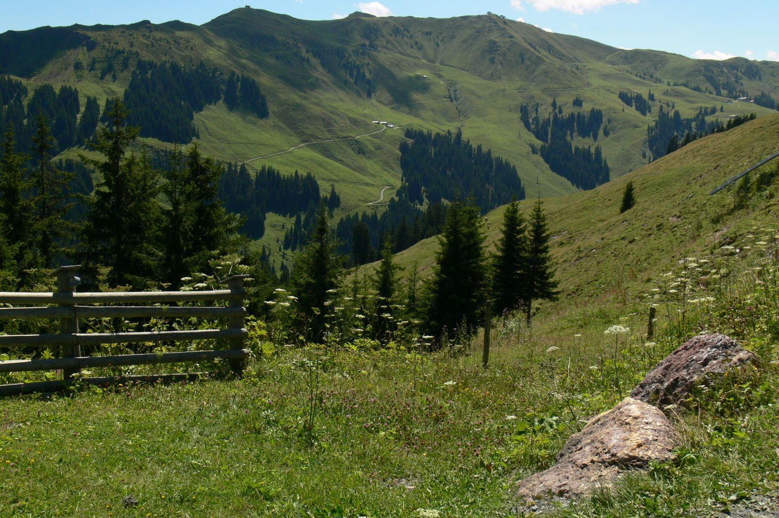 Kitzbühel lejtői nyáron