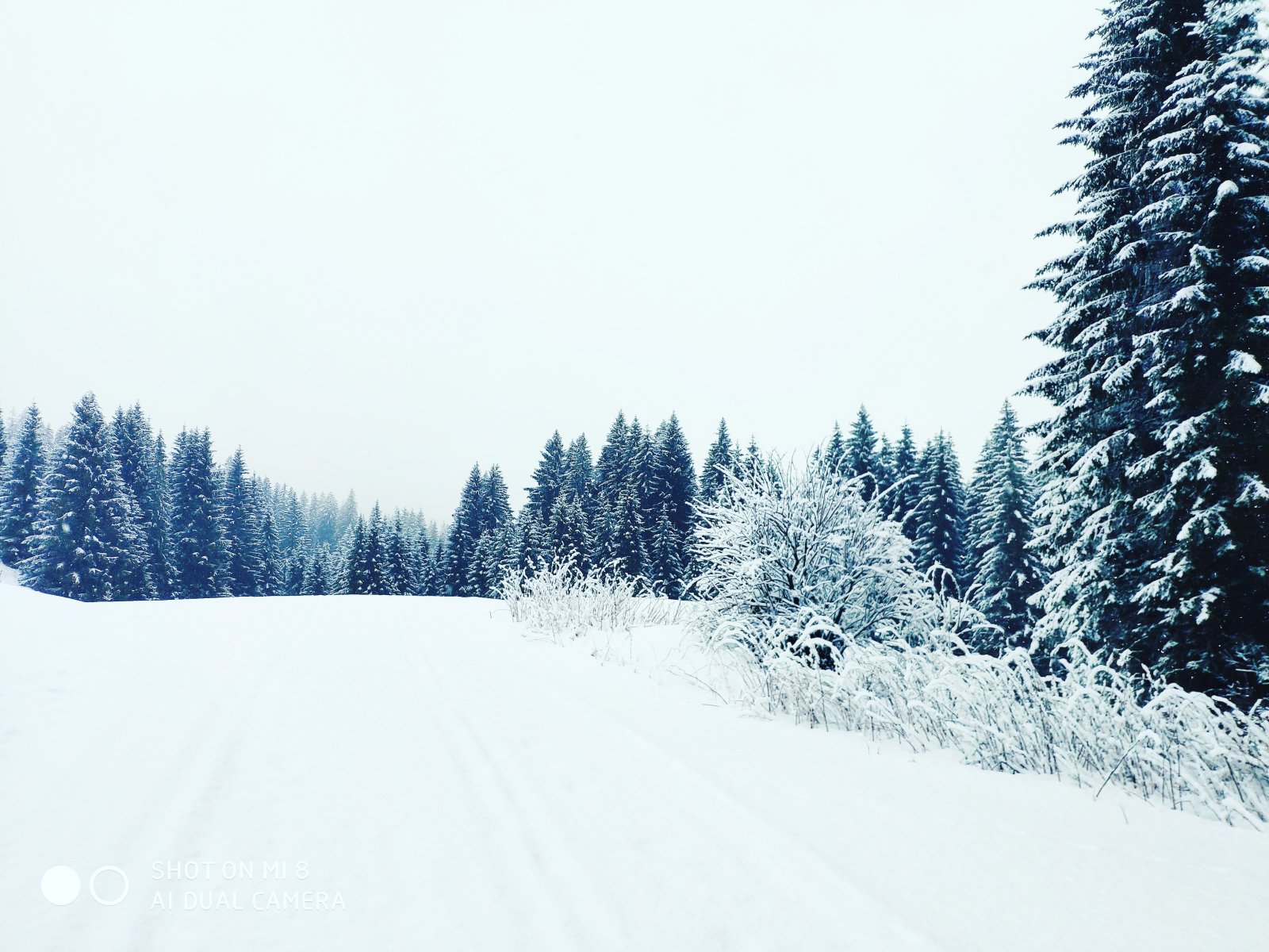 Sífutó nyom Hirschegg-ben