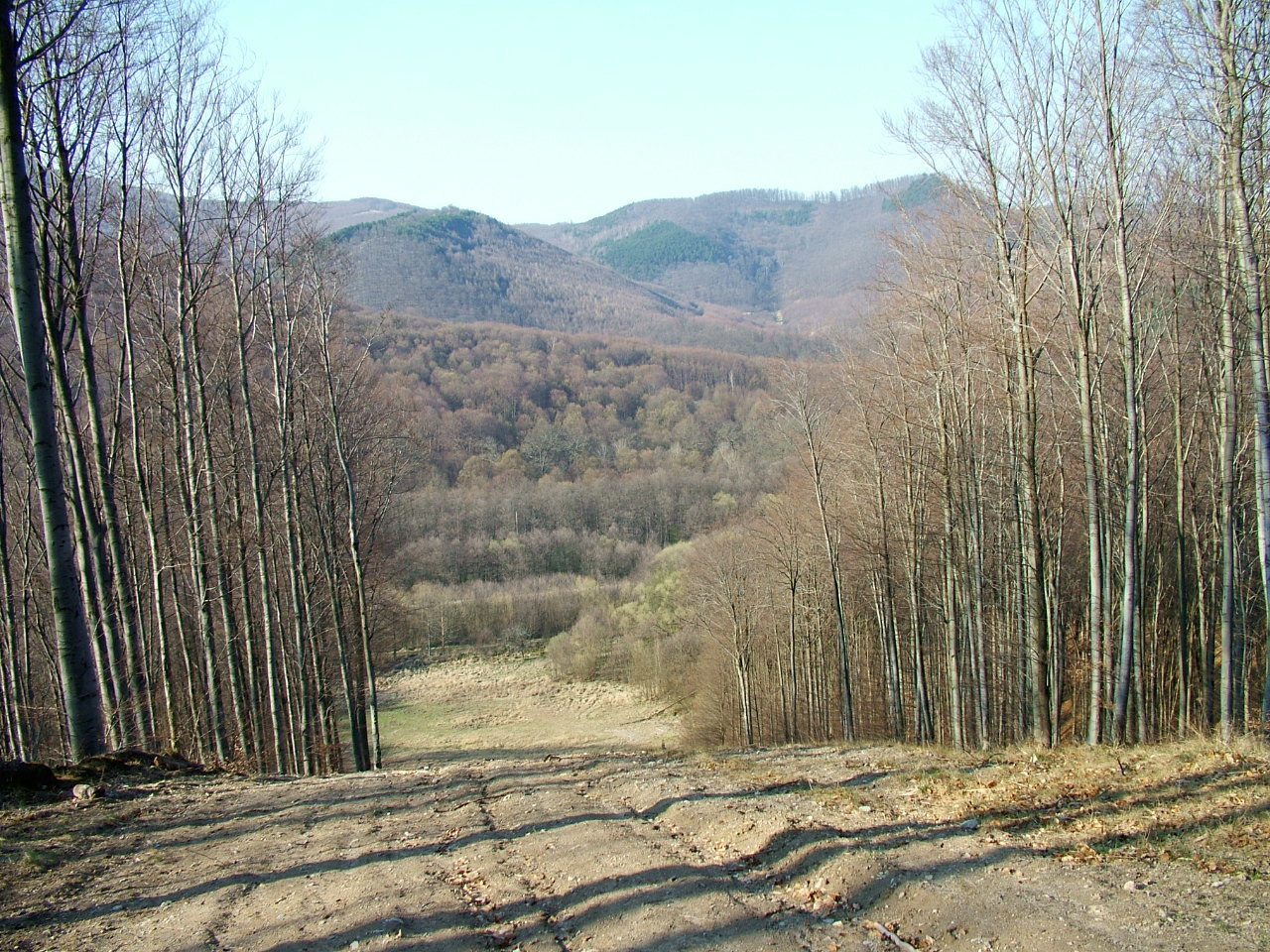 A sípálya tetején 2007