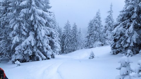 Freeride Lengyelországban - Korbielow, kép: Steve33